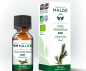 Huile essentielle Tea Tree bio (Arbre à Thé) Huile essentielle Tea Tree bio (Arbre à Thé)