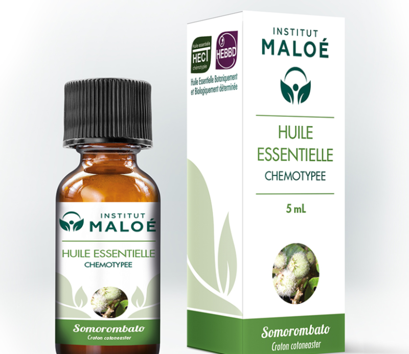 Huile essentielle Somorombato