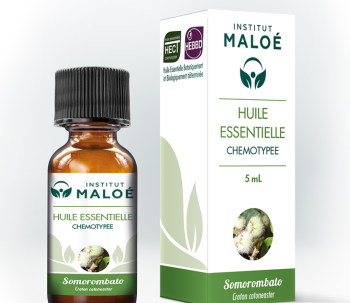 Huile essentielle Somorombato