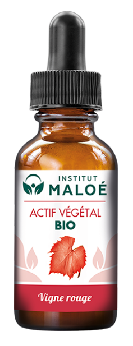 VIGNE ROUGE BIO