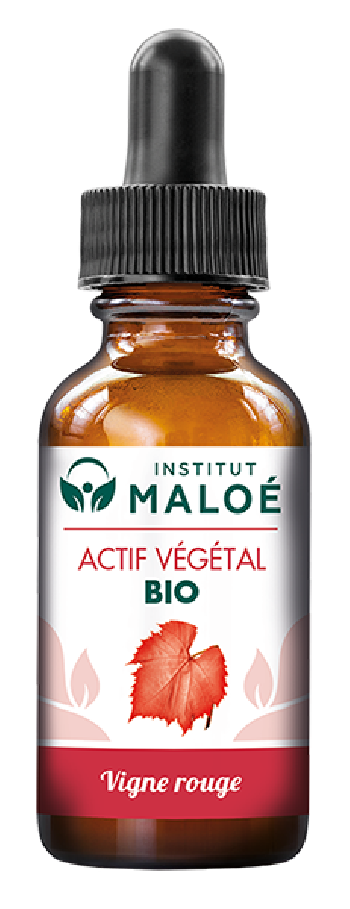 VIGNE ROUGE BIO