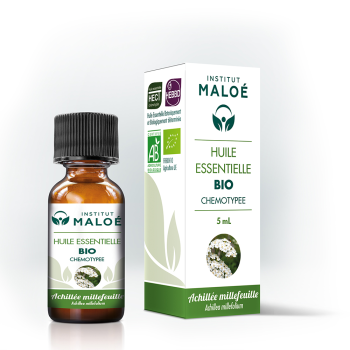 Huile essentielle d’Achillée Millefeuille bio
