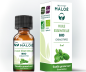 Huile essentielle Basilic grand vert bio