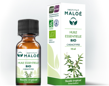 Huile essentielle Basilic tropicale bio