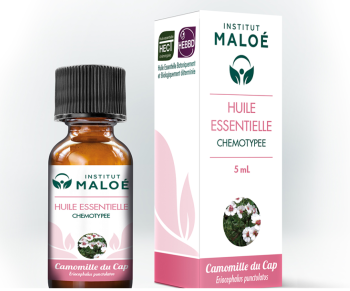 Huile essentielle Camomille du Cap
