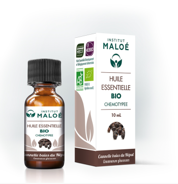 Huile essentielle Cannelle baies du Népal bio