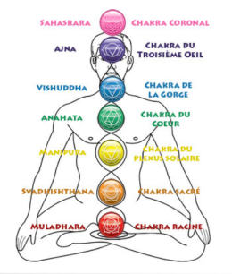 Huile essentielle Cannelle baies du Népal bio