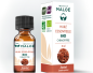 Huile essentielle Santal bio
