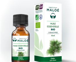 Huile essentielle Cèdre de l’Atlas bio