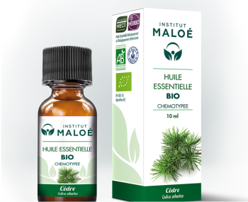Huile essentielle Cèdre de l’Atlas bio