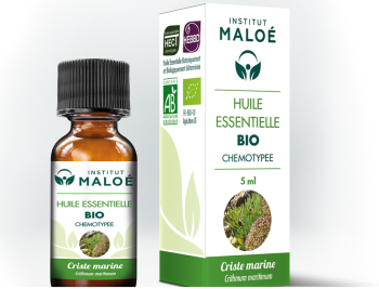 Huile essentielle Criste marine bio