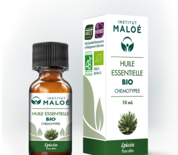 Huile essentielle Épicéa bio