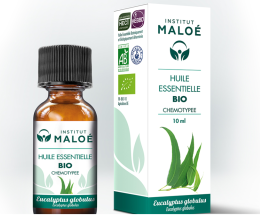 Huile essentielle Eucalyptus globulus bio