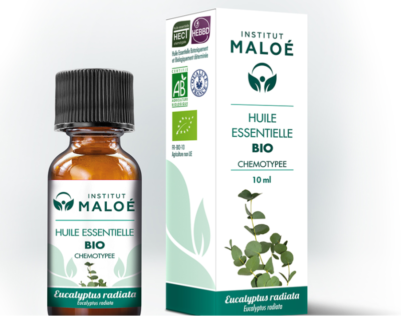 Huile essentielle Eucalyptus radiata bio