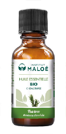 Huile essentielle Tea Tree (Arbre à Thé) bio