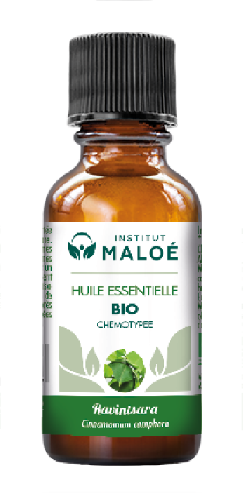 Huile essentielle Ravintsara bio