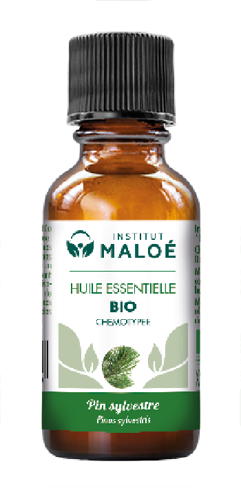 Huile essentielle Pin Sylvestre bio