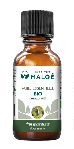 Huile essentielle Pin Maritime bio