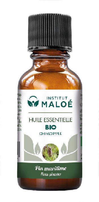 Huile essentielle Pin Maritime bio