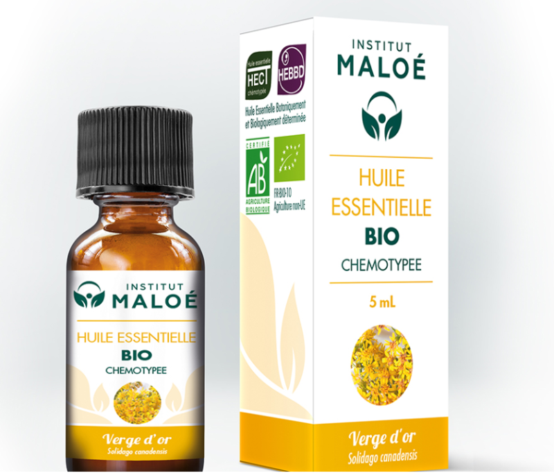 Huile essentielle Verge d’Or bio Huile essentielle Verge d’Or bio